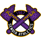 Senoia Area Athletic Association