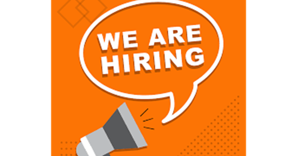 IN SEARCH OF CONCESSIONS MANAGER
