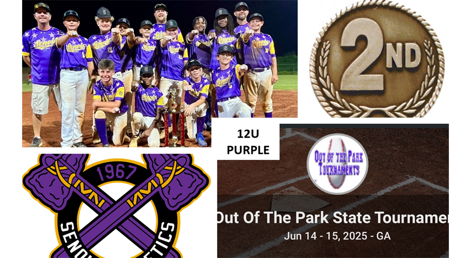 12U PURPLE 2ND PLACE